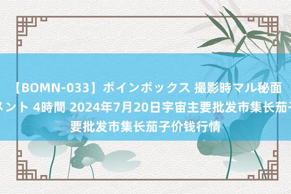 【BOMN-033】ボインボックス 撮影時マル秘面接ドキュメント 4時間 2024年7月20日宇宙主要批发市集长茄子价钱行情