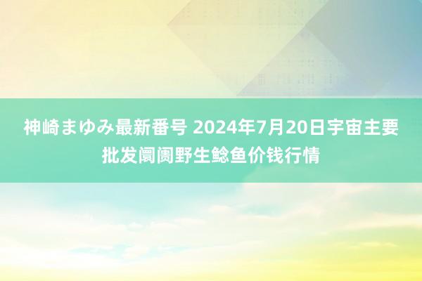 神崎まゆみ最新番号 2024年7月20日宇宙主要批发阛阓野生鲶鱼价钱行情