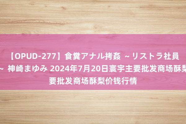 【OPUD-277】食糞アナル拷姦 ～リストラ社員の糞拷問～ 神崎まゆみ 2024年7月20日寰宇主要批发商场酥梨价钱行情