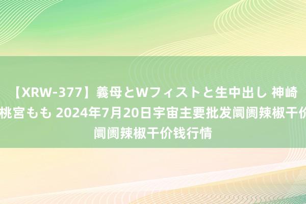 【XRW-377】義母とWフィストと生中出し 神崎まゆみ 桃宮もも 2024年7月20日宇宙主要批发阛阓辣椒干价钱行情