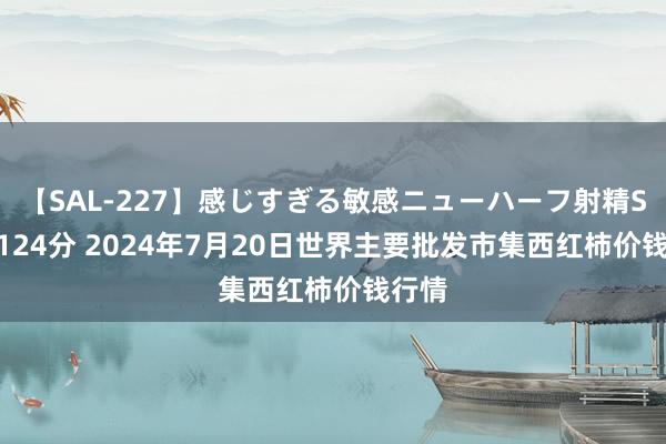 【SAL-227】感じすぎる敏感ニューハーフ射精SEX1124分 2024年7月20日世界主要批发市集西红柿价钱行情