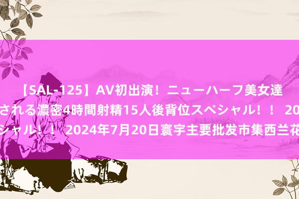 【SAL-125】AV初出演！ニューハーフ美女達が強烈バックで全員犯される濃密4時間射精15人後背位スペシャル！！ 2024年7月20日寰宇主要批发市集西兰花价钱行情