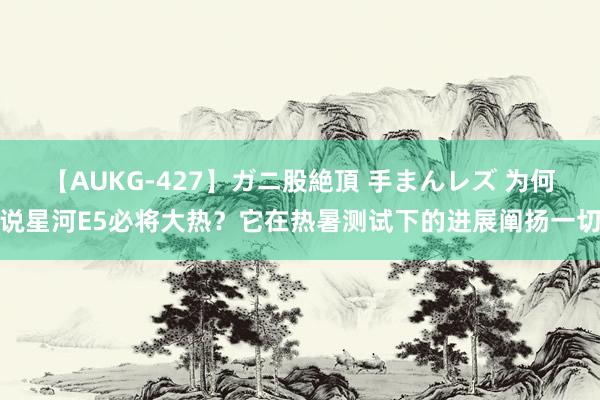 【AUKG-427】ガニ股絶頂 手まんレズ 为何说星河E5必将大热？它在热暑测试下的进展阐扬一切