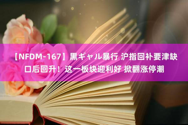 【NFDM-167】黒ギャル暴行 沪指回补要津缺口后回升！这一板块迎利好 掀翻涨停潮