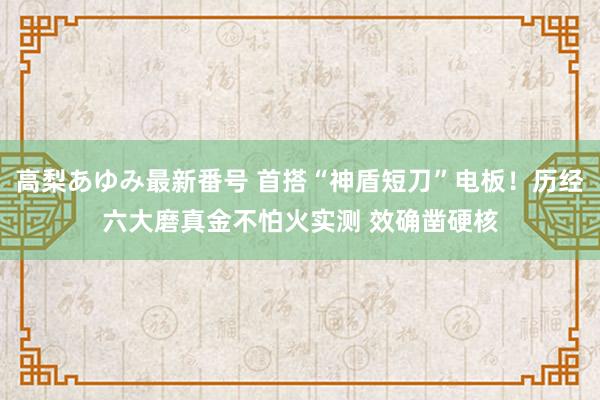 高梨あゆみ最新番号 首搭“神盾短刀”电板！历经六大磨真金不怕火实测 效确凿硬核