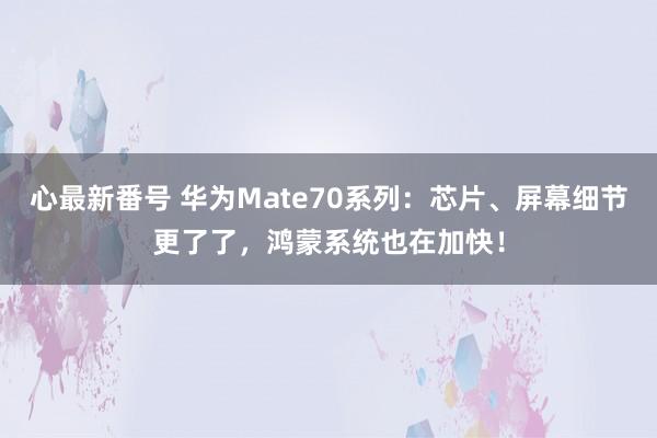 心最新番号 华为Mate70系列：芯片、屏幕细节更了了，鸿蒙系统也在加快！