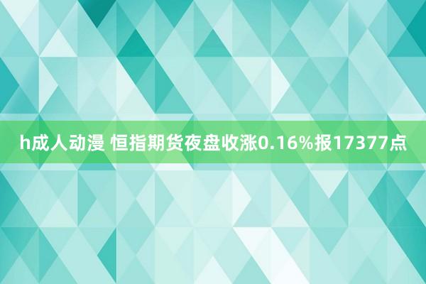 h成人动漫 恒指期货夜盘收涨0.16%报17377点