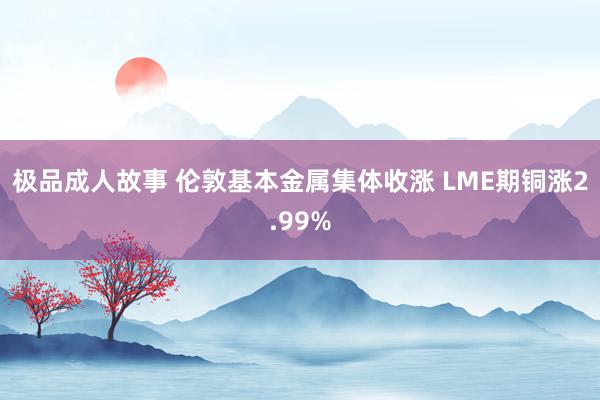 极品成人故事 伦敦基本金属集体收涨 LME期铜涨2.99%