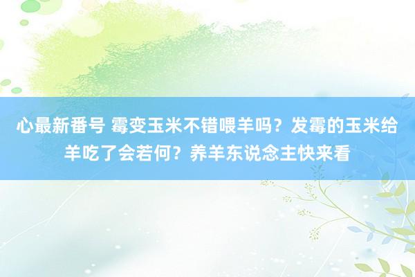 心最新番号 霉变玉米不错喂羊吗？发霉的玉米给羊吃了会若何？养羊东说念主快来看