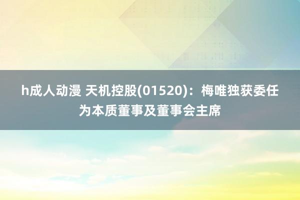 h成人动漫 天机控股(01520)：梅唯独获委任为本质董事及董事会主席