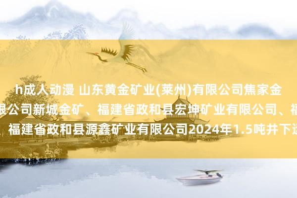 h成人动漫 山东黄金矿业(莱州)有限公司焦家金矿、山东黄金矿业股份有限公司新城金矿、福建省政和县宏坤矿业有限公司、福建省政和县源鑫矿业有限公司2024年1.5吨井下运料车(七)采购技俩招标