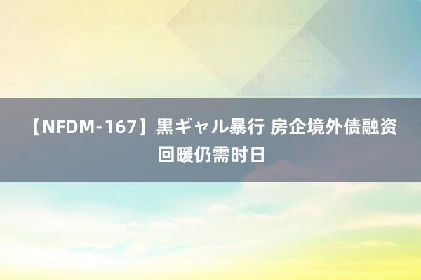 【NFDM-167】黒ギャル暴行 房企境外债融资回暖仍需时日