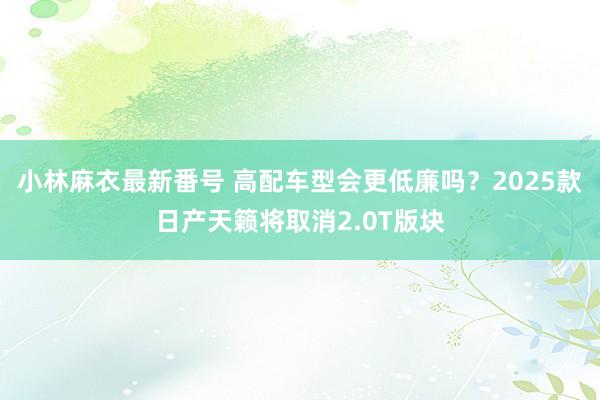 小林麻衣最新番号 高配车型会更低廉吗？2025款日产天籁将取消2.0T版块