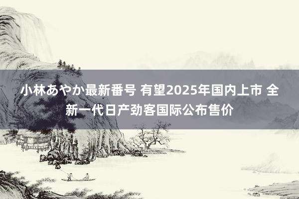 小林あやか最新番号 有望2025年国内上市 全新一代日产劲客国际公布售价