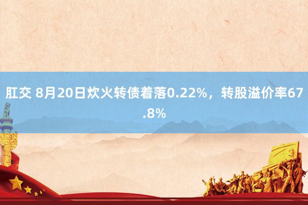 肛交 8月20日炊火转债着落0.22%，转股溢价率67.8%