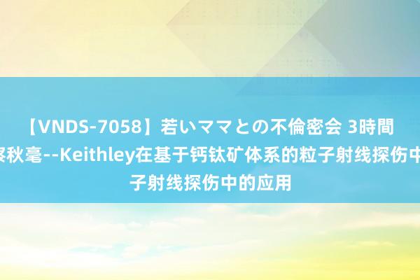 【VNDS-7058】若いママとの不倫密会 3時間 “源”察秋毫--Keithley在基于钙钛矿体系的粒子射线探伤中的应用