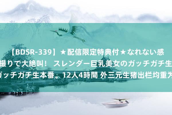 【BDSR-339】★配信限定特典付★なれない感じの新人ちゃんが初ハメ撮りで大絶叫！ スレンダー巨乳美女のガッチガチ生本番。12人4時間 外三元生猪出栏均重为123.88公斤