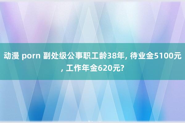 动漫 porn 副处级公事职工龄38年, 待业金5100元, 工作年金620元?