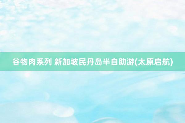 谷物肉系列 新加坡民丹岛半自助游(太原启航)