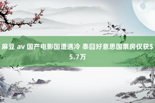 麻豆 av 国产电影国遭遇冷 泰囧好意思国票房仅获$5.7万