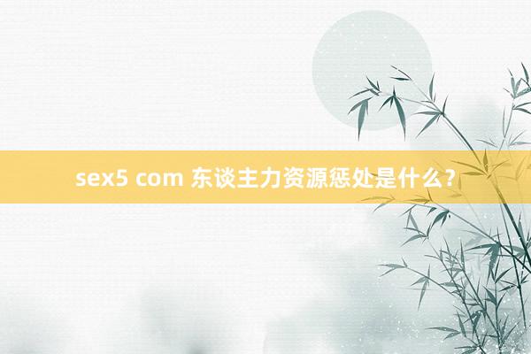 sex5 com 东谈主力资源惩处是什么？