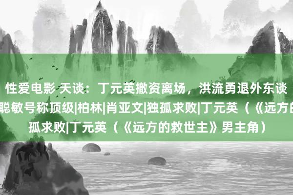 性爱电影 天谈：丁元英撤资离场，洪流勇退外东谈主大惑不明，生涯聪敏号称顶级|柏林|肖亚文|独孤求败|丁元英（《远方的救世主》男主角）