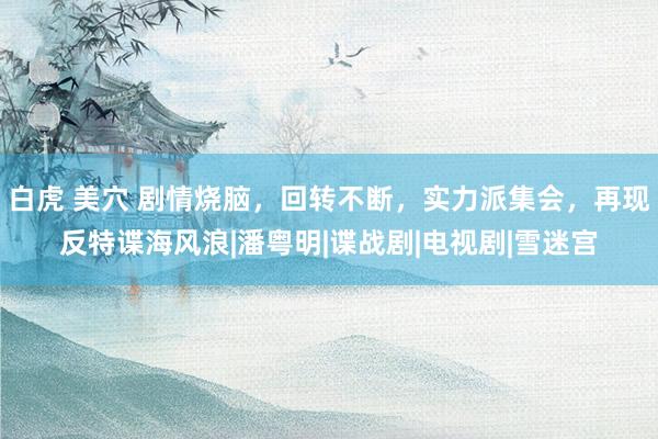 白虎 美穴 剧情烧脑，回转不断，实力派集会，再现反特谍海风浪|潘粤明|谍战剧|电视剧|雪迷宫