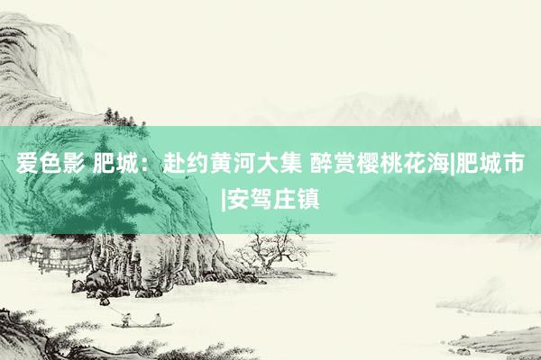 爱色影 肥城：赴约黄河大集 醉赏樱桃花海|肥城市|安驾庄镇